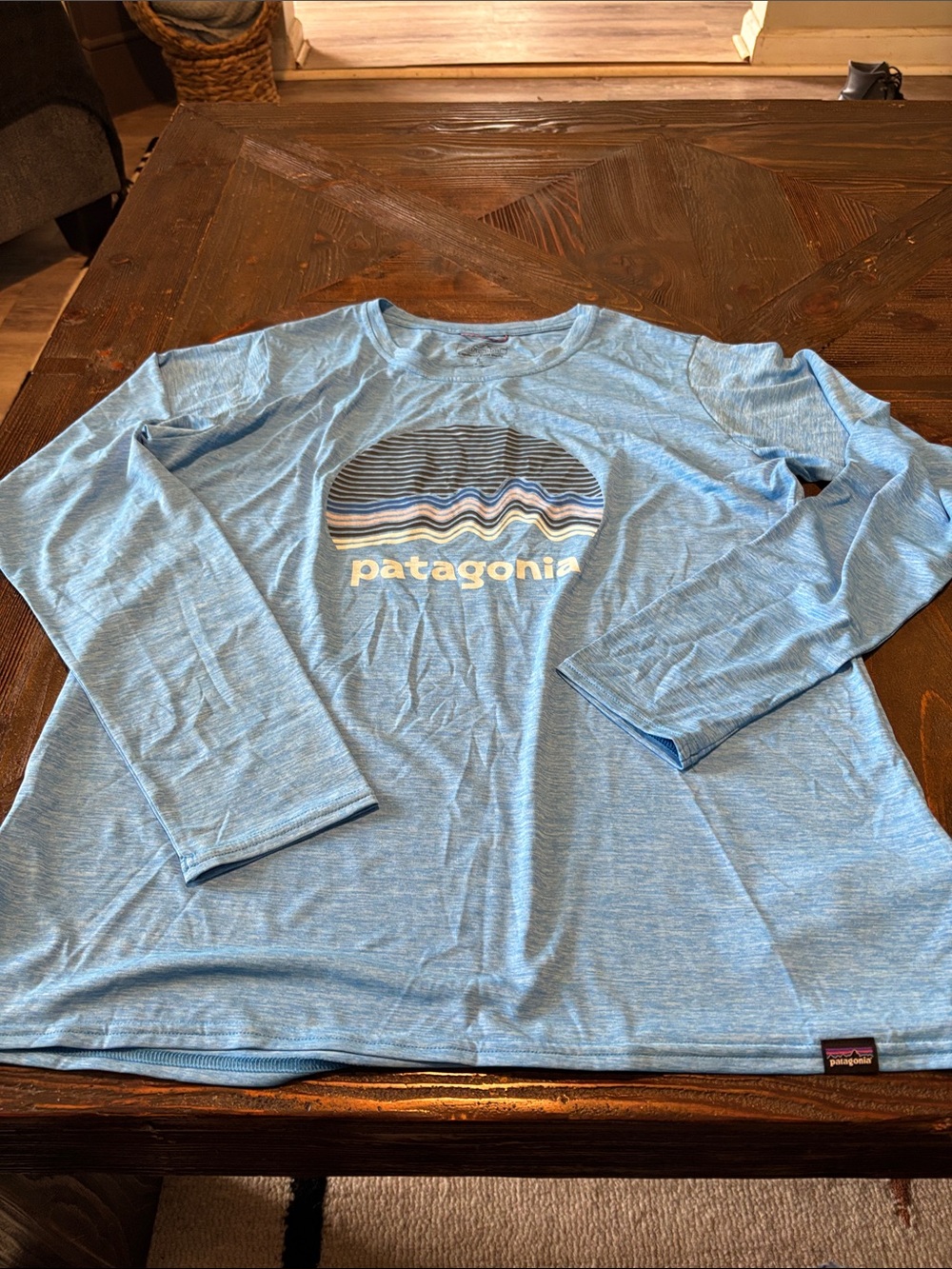 Patagonia Sky Blue Long Sleeve Logo Shirt